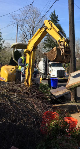septic 
      pumping cost texas cities 
      zip batch